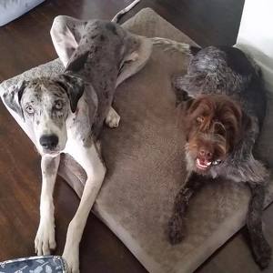 Fundraising Page: Alexandria Taylor